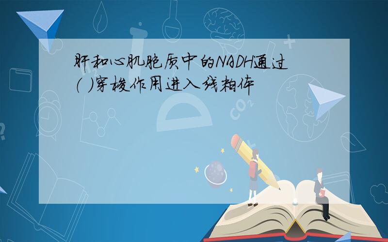 肝和心肌胞质中的NADH通过（ ）穿梭作用进入线粒体