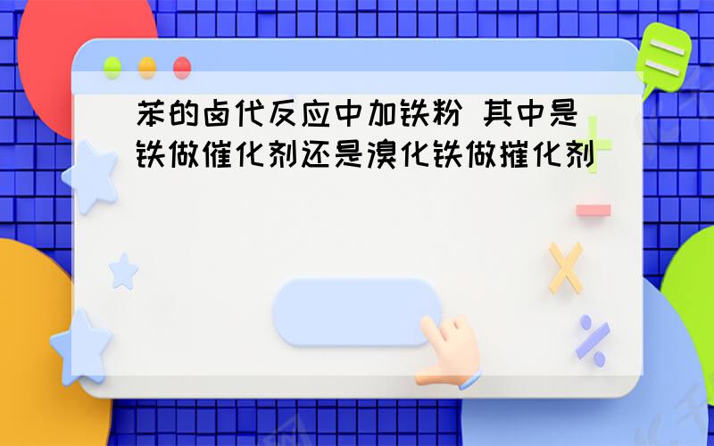 苯的卤代反应中加铁粉 其中是铁做催化剂还是溴化铁做摧化剂