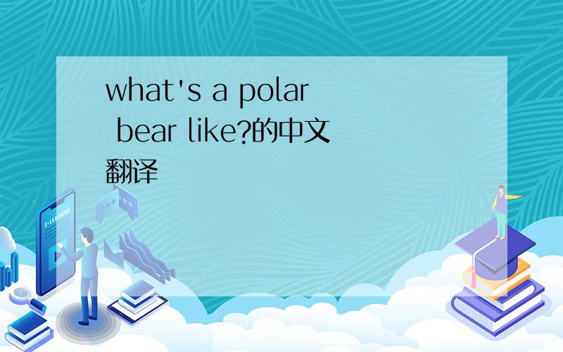 what's a polar bear like?的中文翻译