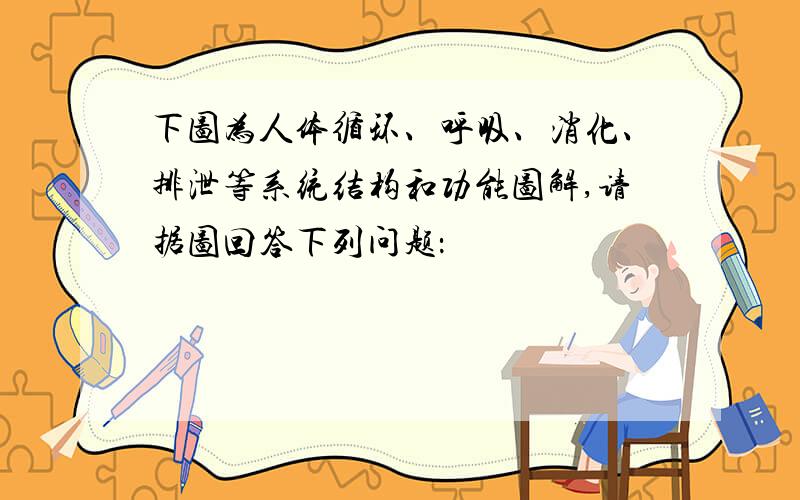 下图为人体循环、呼吸、消化、排泄等系统结构和功能图解,请据图回答下列问题：