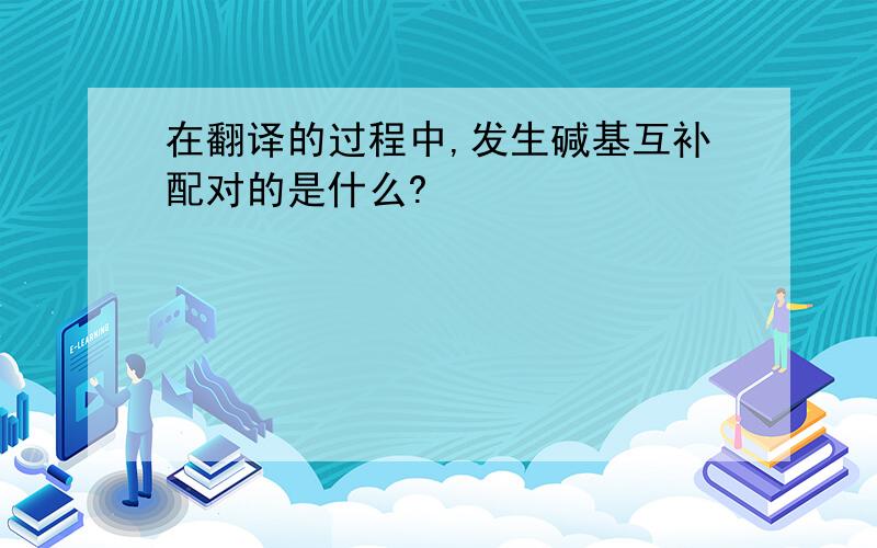 在翻译的过程中,发生碱基互补配对的是什么?