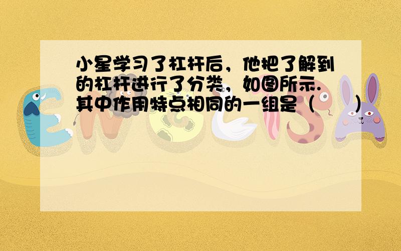 小星学习了杠杆后，他把了解到的杠杆进行了分类，如图所示.其中作用特点相同的一组是（　　）