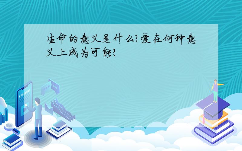 生命的意义是什么?爱在何种意义上成为可能?