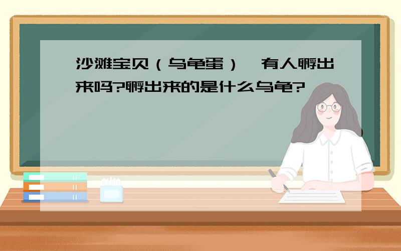 沙滩宝贝（乌龟蛋）,有人孵出来吗?孵出来的是什么乌龟?