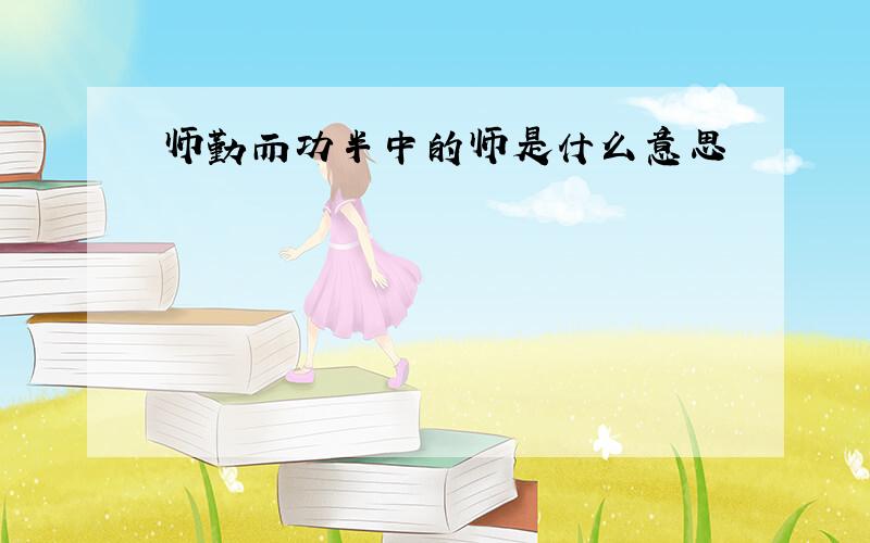 师勤而功半中的师是什么意思