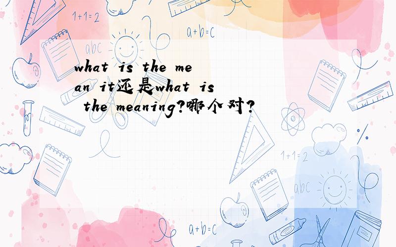 what is the mean it还是what is the meaning?哪个对?