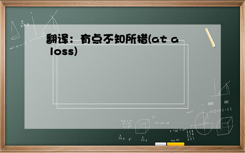 翻译：有点不知所措(at a loss)