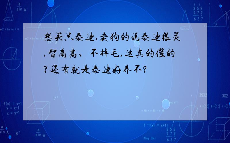 想买只泰迪,卖狗的说泰迪很灵,智商高、不掉毛,这真的假的?还有就是泰迪好养不?