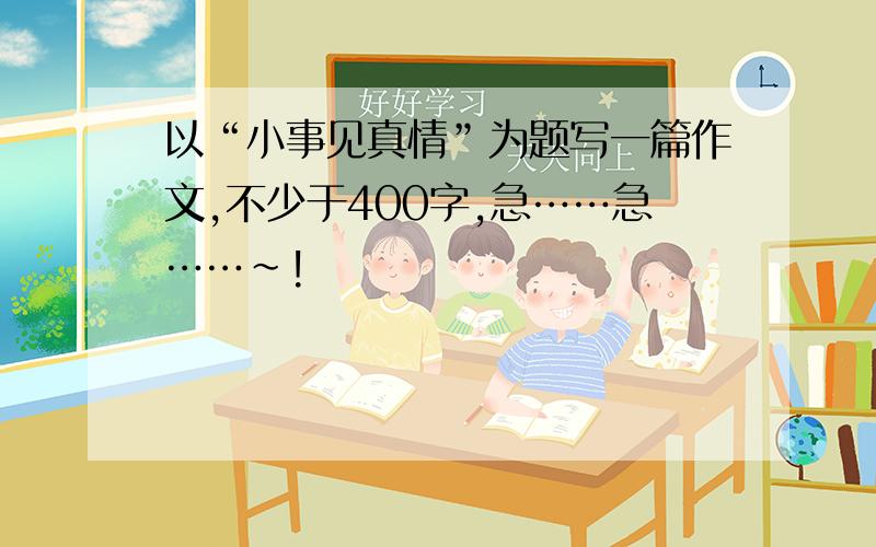 以“小事见真情”为题写一篇作文,不少于400字,急……急……~!