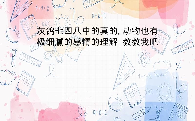 灰鸽七四八中的真的,动物也有极细腻的感情的理解 教教我吧