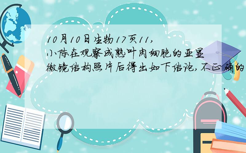 10月10日生物17页11,小陈在观察成熟叶肉细胞的亚显微镜结构照片后得出如下结论,不正确的是