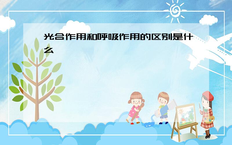 光合作用和呼吸作用的区别是什么