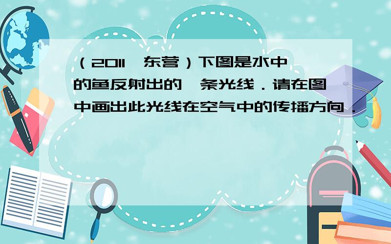 （2011•东营）下图是水中的鱼反射出的一条光线．请在图中画出此光线在空气中的传播方向．