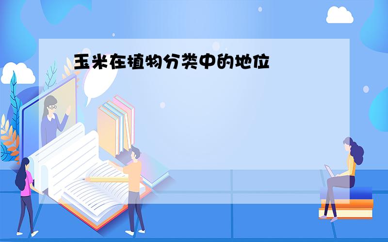 玉米在植物分类中的地位