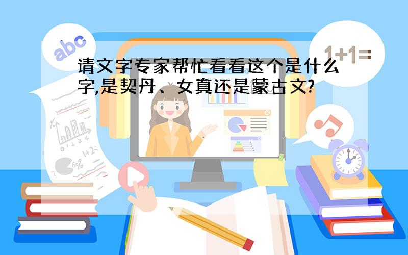 请文字专家帮忙看看这个是什么字,是契丹、女真还是蒙古文?