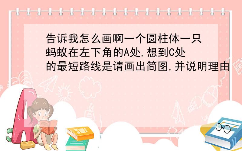 告诉我怎么画啊一个圆柱体一只蚂蚁在左下角的A处,想到C处的最短路线是请画出简图,并说明理由