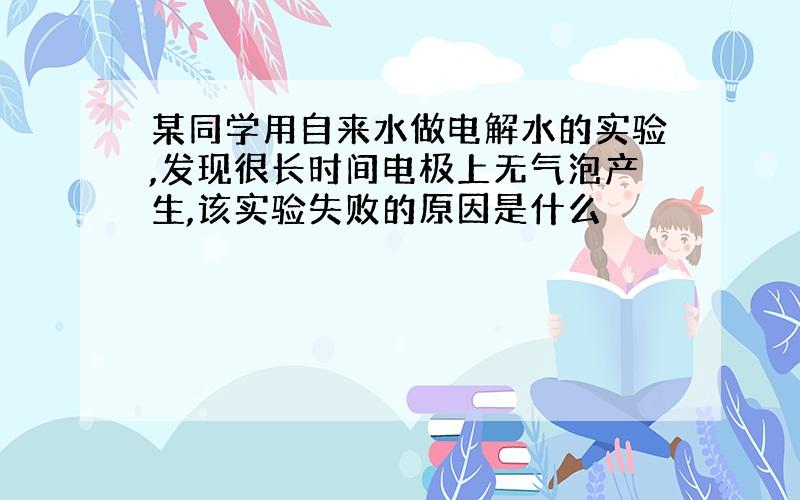 某同学用自来水做电解水的实验,发现很长时间电极上无气泡产生,该实验失败的原因是什么