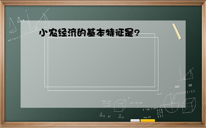 小农经济的基本特征是?