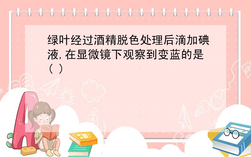 绿叶经过酒精脱色处理后滴加碘液,在显微镜下观察到变蓝的是( )