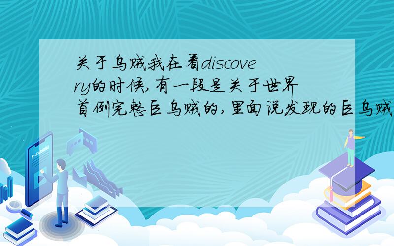 关于乌贼我在看discovery的时候,有一段是关于世界首例完整巨乌贼的,里面说发现的巨乌贼是母的,科学家有些失望,科学