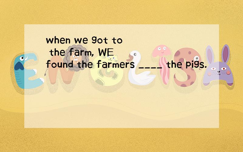 when we got to the farm, WE found the farmers ____ the pigs.