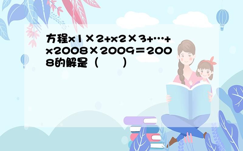 方程x1×2+x2×3+…+x2008×2009＝2008的解是（　　）