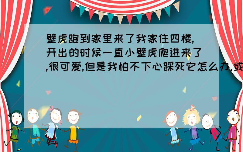 壁虎跑到家里来了我家住四楼,开出的时候一直小壁虎爬进来了,很可爱,但是我怕不下心踩死它怎么办,或者,它找不到出口,饿死怎