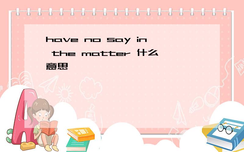 have no say in the matter 什么意思