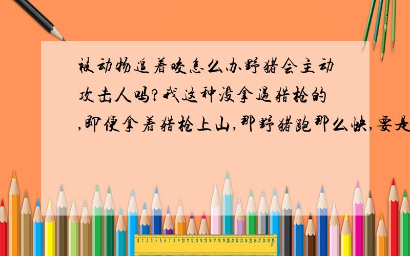 被动物追着咬怎么办野猪会主动攻击人吗?我这种没拿过猎枪的,即便拿着猎枪上山,那野猪跑那么快,要是第一枪没打中,岂不是要肉