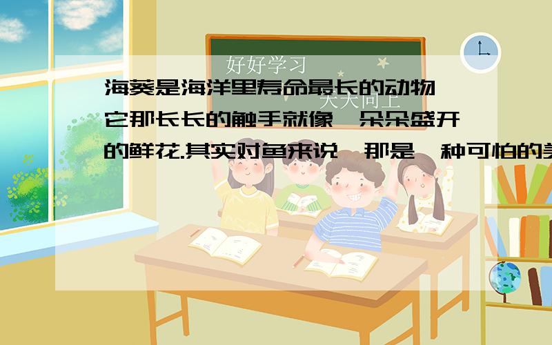 海葵是海洋里寿命最长的动物,它那长长的触手就像一朵朵盛开的鲜花.其实对鱼来说,那是一种可怕的美丽陷