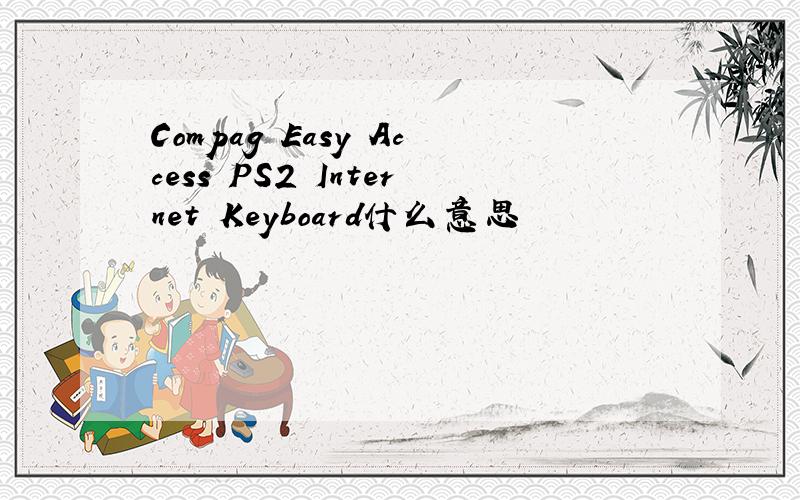 Compag Easy Access PS2 Internet Keyboard什么意思