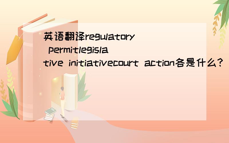 英语翻译regulatory permitlegislative initiativecourt action各是什么?