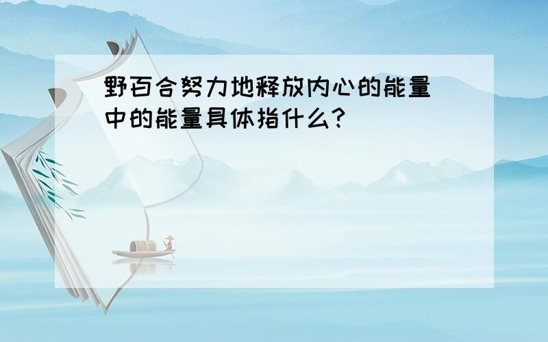 野百合努力地释放内心的能量 中的能量具体指什么?