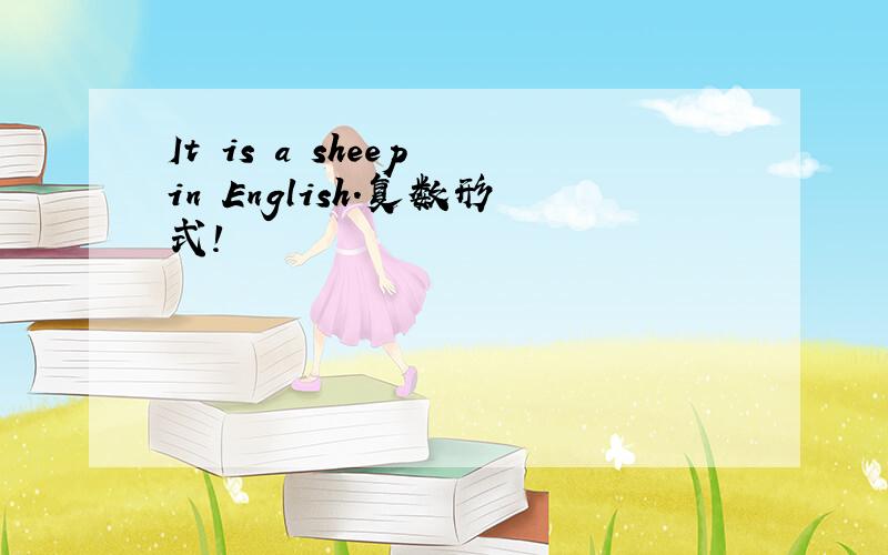 It is a sheep in English.复数形式!