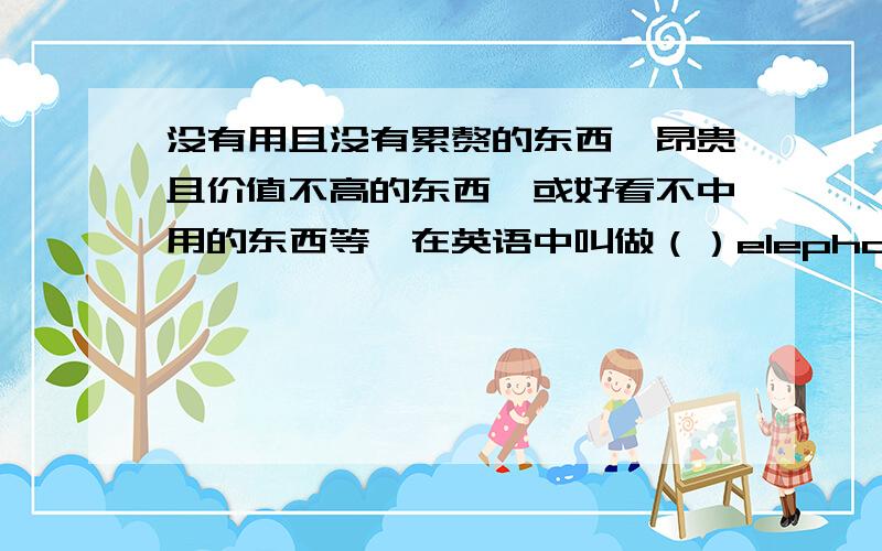 没有用且没有累赘的东西,昂贵且价值不高的东西,或好看不中用的东西等,在英语中叫做（）elephant