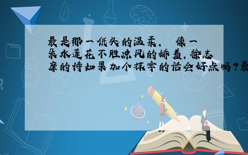 最是那一低头的温柔,　　像一朵水莲花不胜凉风的娇羞,徐志摩的诗如果加个抹字的话会好点吗?最是那一抹 低头的温柔,像一朵水