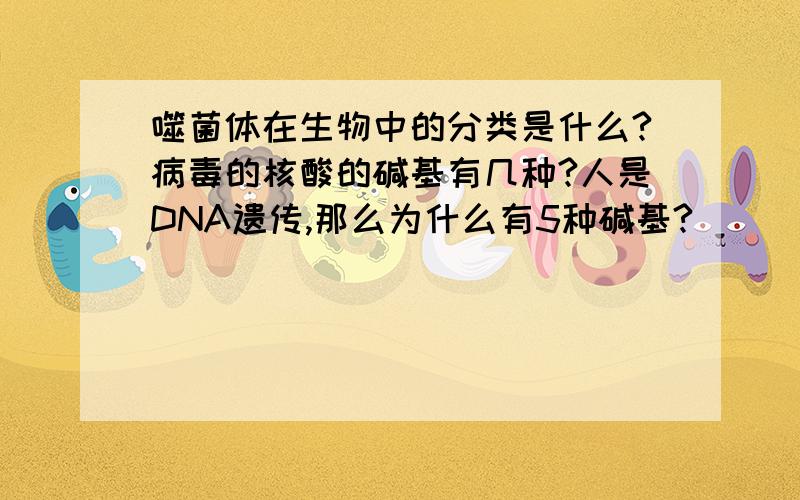 噬菌体在生物中的分类是什么?病毒的核酸的碱基有几种?人是DNA遗传,那么为什么有5种碱基?