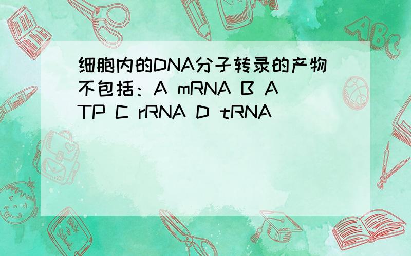 细胞内的DNA分子转录的产物不包括：A mRNA B ATP C rRNA D tRNA