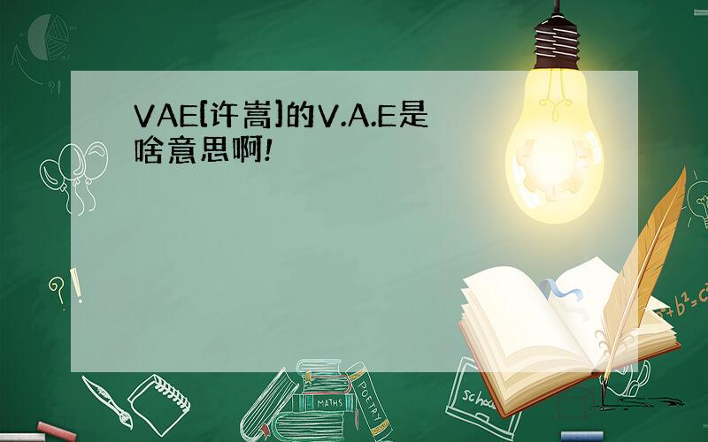 VAE[许嵩]的V.A.E是啥意思啊!