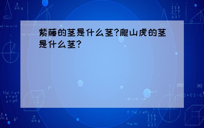 紫藤的茎是什么茎?爬山虎的茎是什么茎?