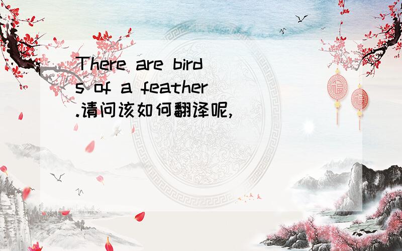 There are birds of a feather.请问该如何翻译呢,