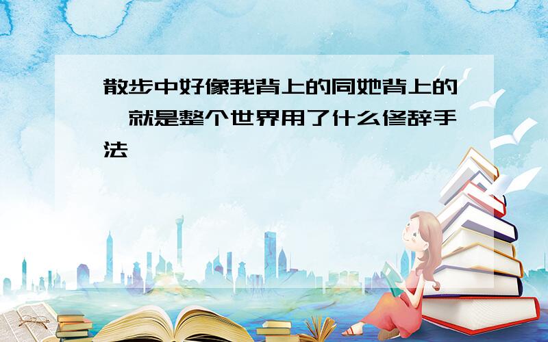 散步中好像我背上的同她背上的,就是整个世界用了什么修辞手法