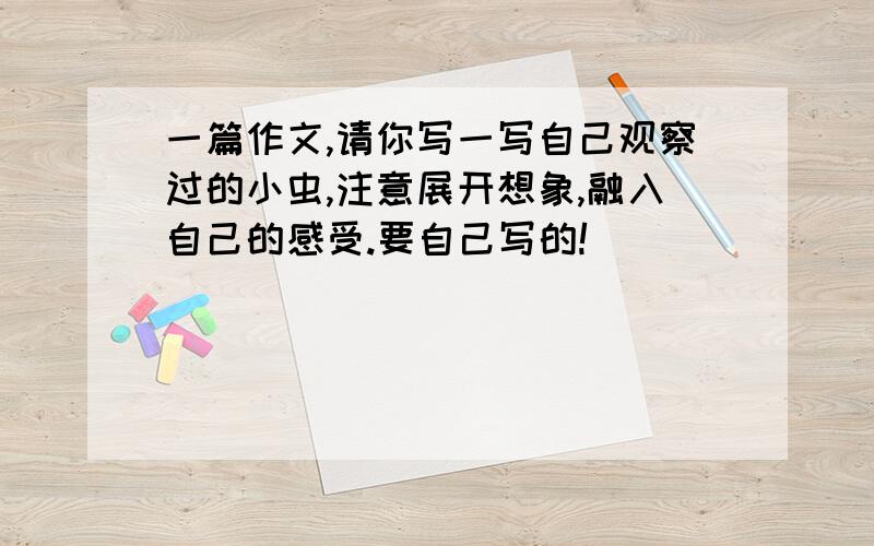 一篇作文,请你写一写自己观察过的小虫,注意展开想象,融入自己的感受.要自己写的!