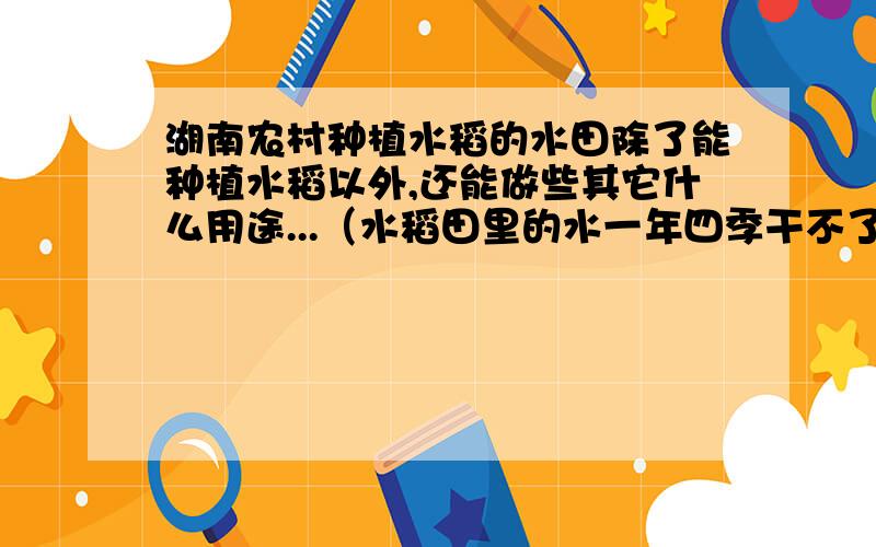 湖南农村种植水稻的水田除了能种植水稻以外,还能做些其它什么用途...（水稻田里的水一年四季干不了）.