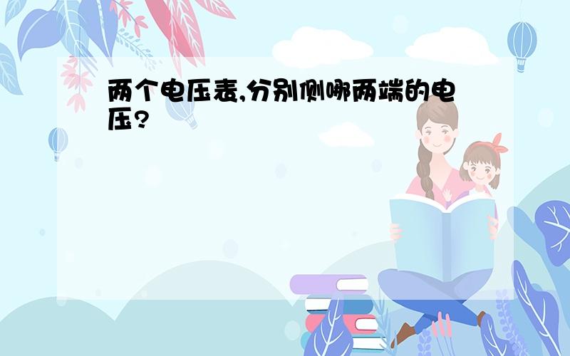 两个电压表,分别侧哪两端的电压?