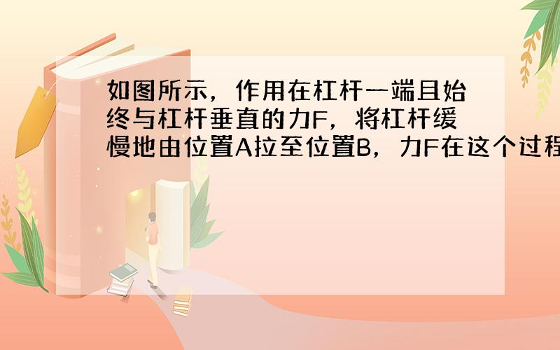 如图所示，作用在杠杆一端且始终与杠杆垂直的力F，将杠杆缓慢地由位置A拉至位置B，力F在这个过程中（　　）