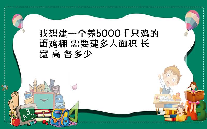 我想建一个养5000千只鸡的蛋鸡棚 需要建多大面积 长 宽 高 各多少