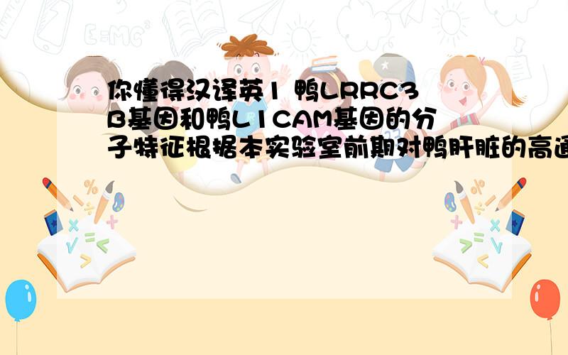 你懂得汉译英1 鸭LRRC3B基因和鸭L1CAM基因的分子特征根据本实验室前期对鸭肝脏的高通量测序结果,对鸭LRRC3B