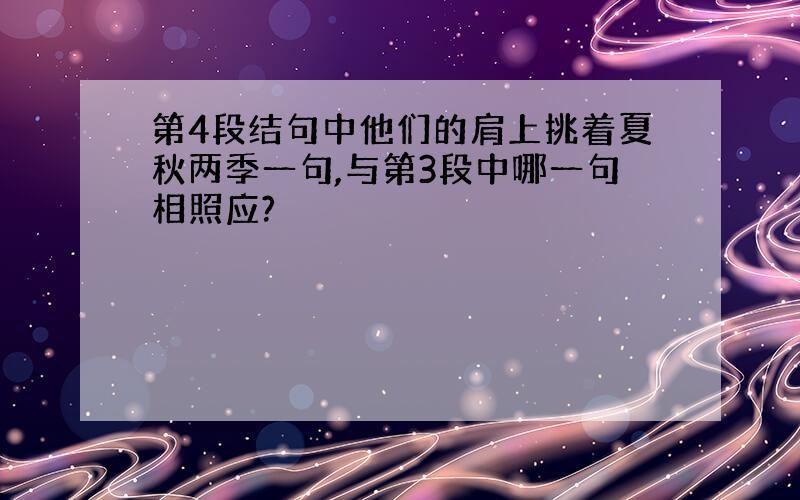 第4段结句中他们的肩上挑着夏秋两季一句,与第3段中哪一句相照应?