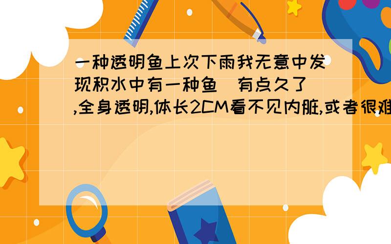 一种透明鱼上次下雨我无意中发现积水中有一种鱼（有点久了）,全身透明,体长2CM看不见内脏,或者很难看见.这什么鱼啊?在6